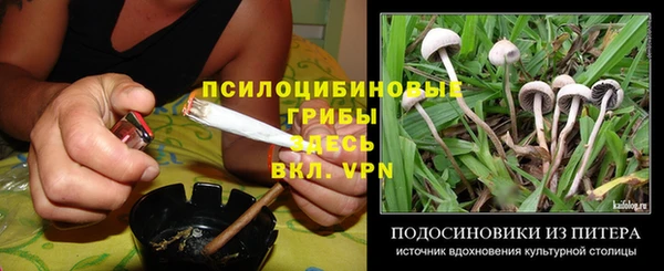 шишки Алзамай